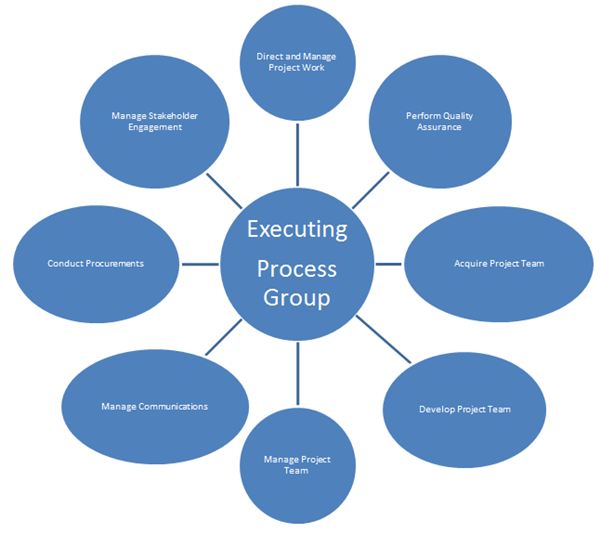 Executing Processes for PMP Exam