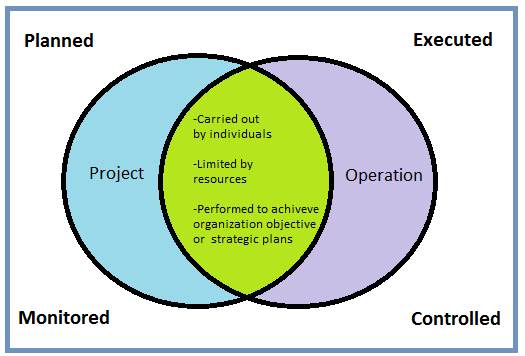 Different Between Project & Operations