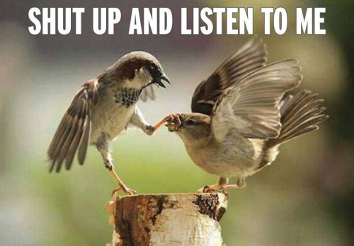 Shut Up & Listen